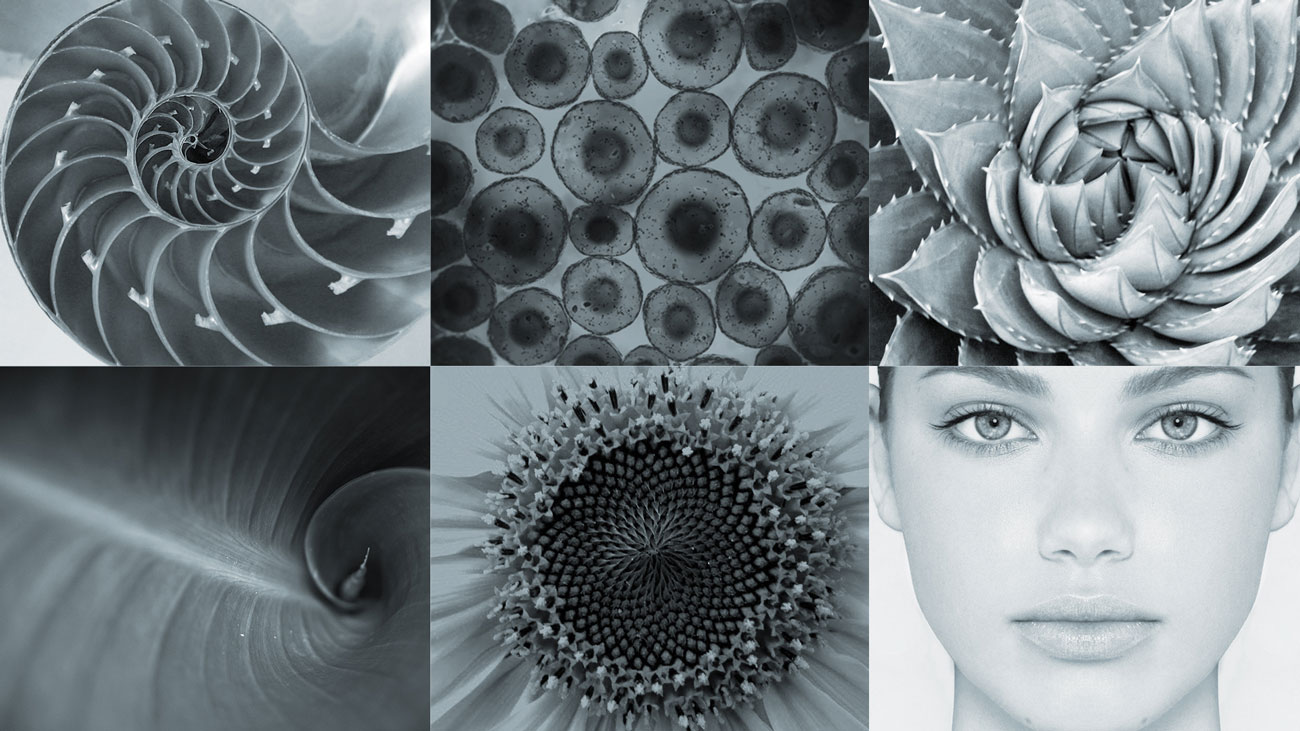 wm_cefae_behance_inspiracao_03_1300