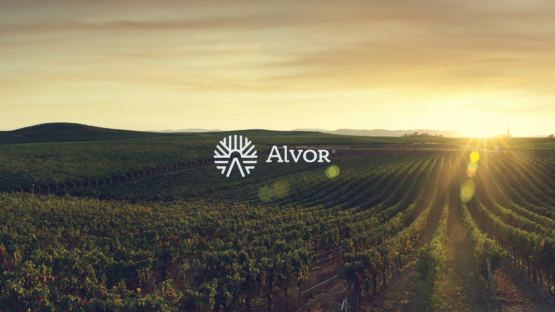 Alvor_Logo_Foto_Site